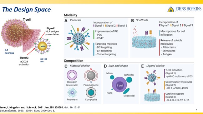 Artificial Antigen Presenting Platforms Featured Image