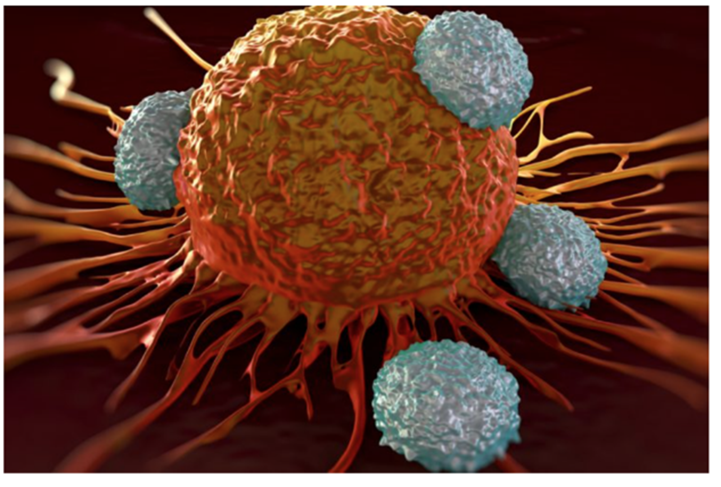 Immunotherapy/Immunology Featured Image